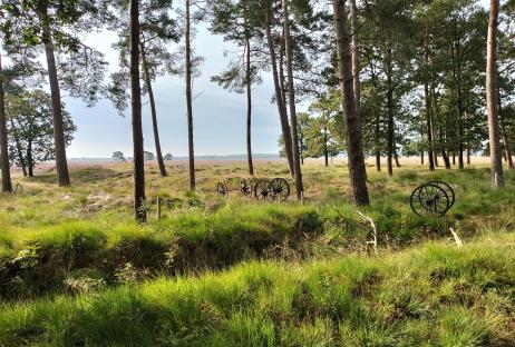 Hotel Villa Nova - Zorgvlied