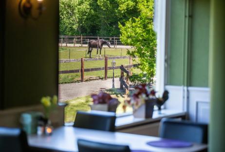 Hotel Villa Nova - Zorgvlied