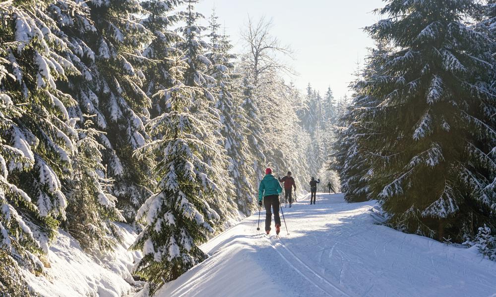 Langlaufen & winterwandelen Salzburgerland - Salzkammergut