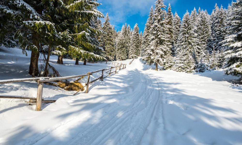 Langlaufreis Tirol Brandenberg