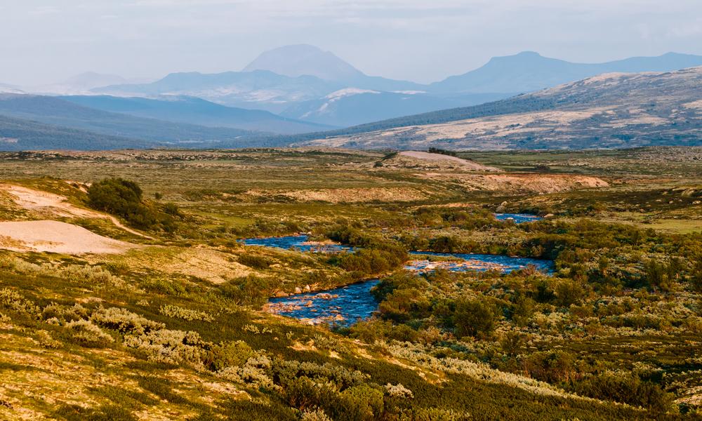 Nationaal Park Dovrefjell