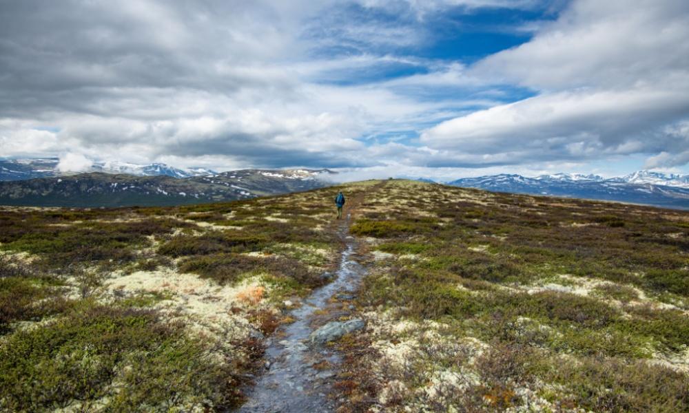Singlereis Indrukwekkend Noorwegen