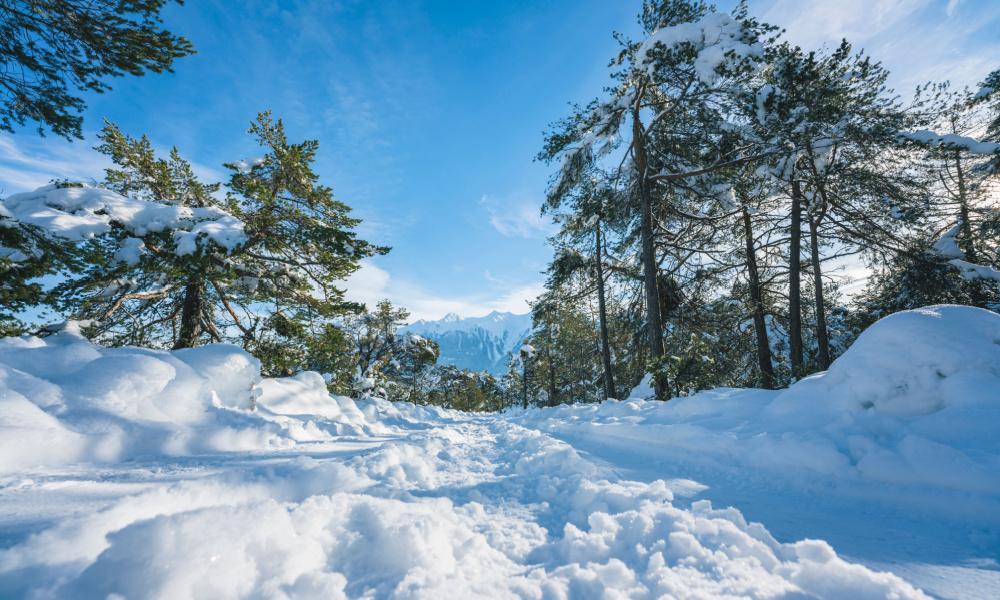 Mieminger Plateau - Langlaufen en wandelen - KRAS Busreizen