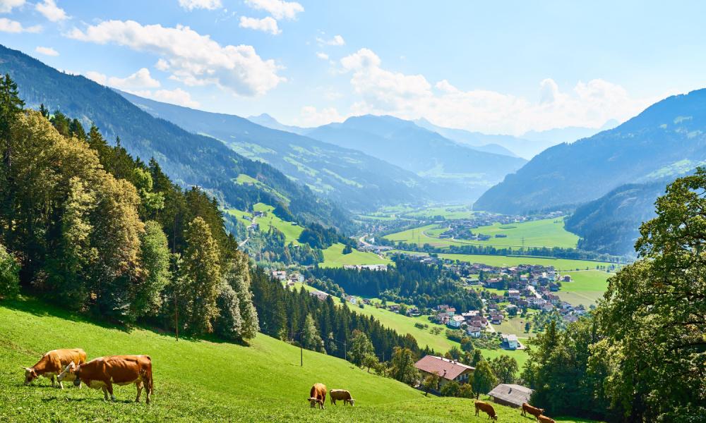 Hartje Tirol - KRAS Busreizen