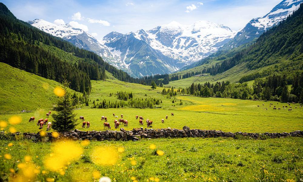 Wandelreis Hartje Tirol