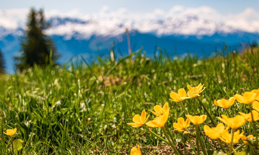 Wandelreis Hartje Tirol