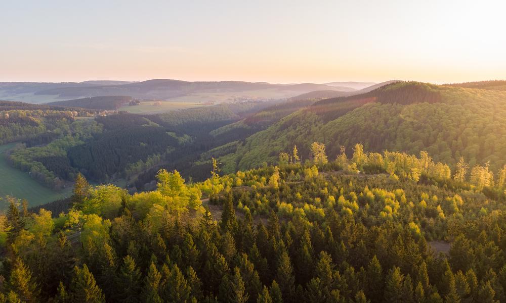 Bergen en bossen Winterberg