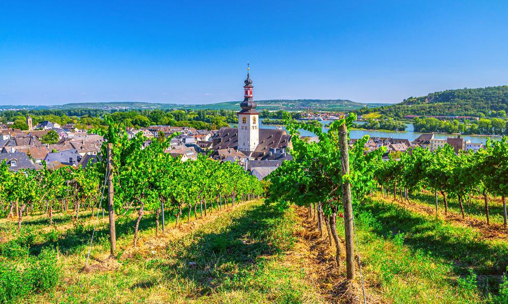 Rüdesheim - Duitsland - KRAS Busreizen