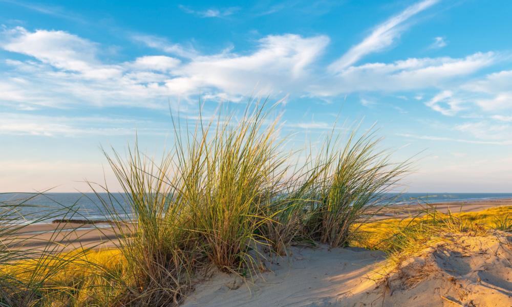 Belgische Kust - België - KRAS Busreizen