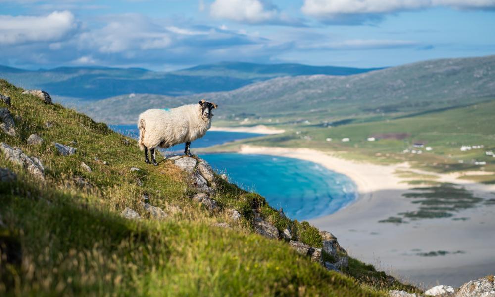 Harris - Heriden - Schotland - KRAS Busreizen