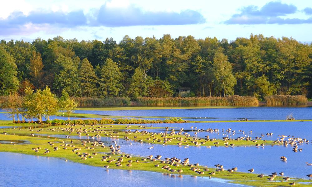 Oostzeekust & Lüneburger Heide