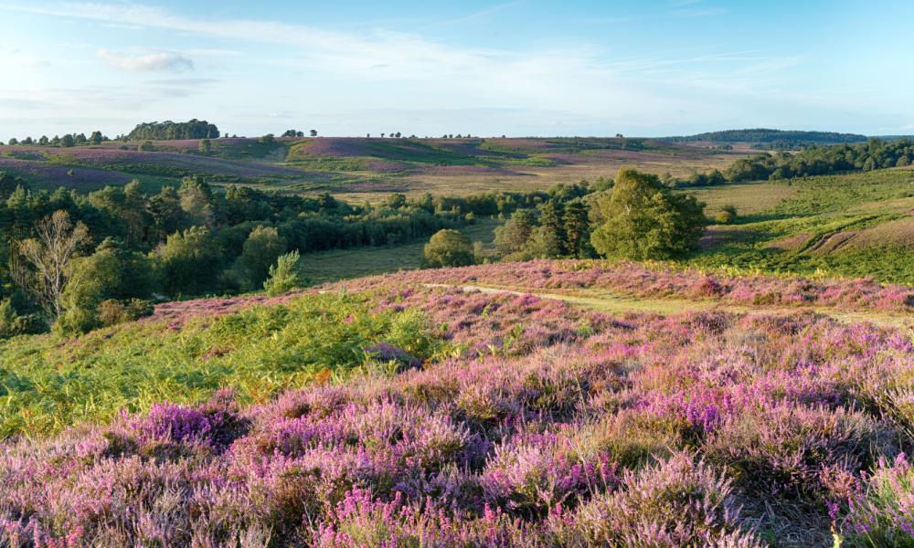 Bournemouth & Isle of Wight | KRAS Busreizen